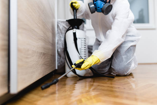Reliable Mount Airy, NC Pest Control Solutions