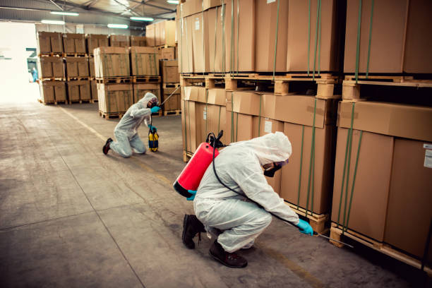 Best Ant Control Services  in Mount Airy, NC