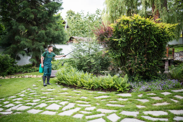 Wasp Removal Services in Mount Airy, NC