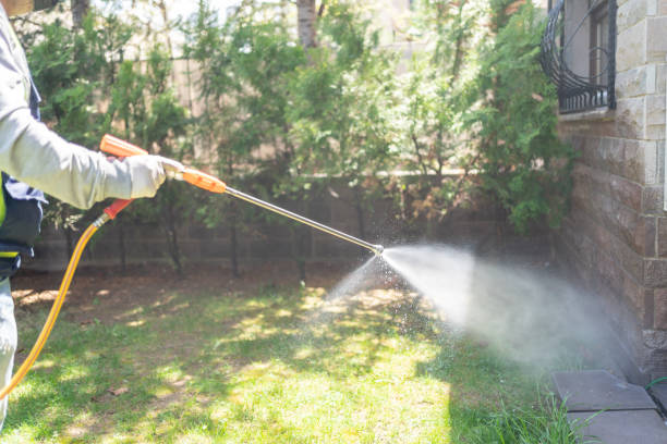 Flea Control Services in Mount Airy, NC