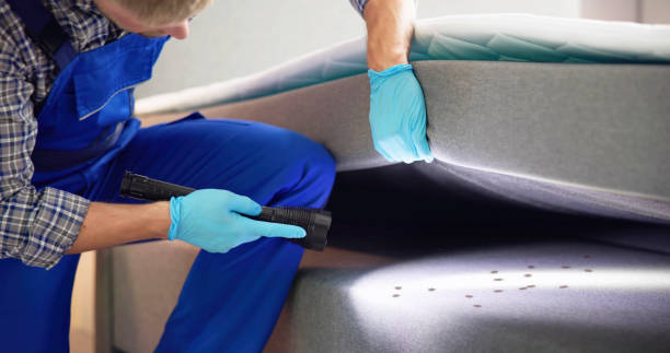 Best Flea Control Services  in Mount Airy, NC