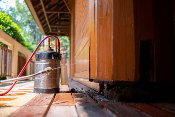 Best Pest Prevention Services  in Mount Airy, NC